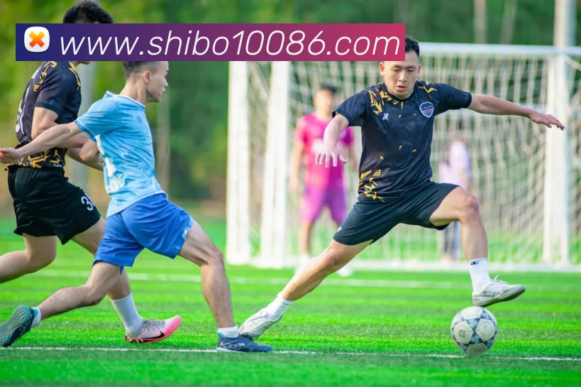 世博体育APP 封面图